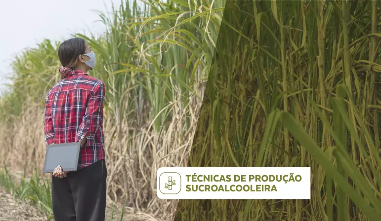 Técnicas de Produção Sucroalcooleira
